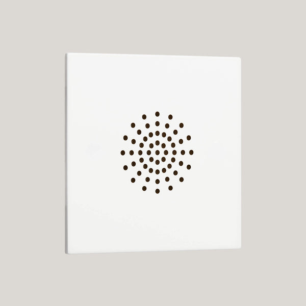 Renaissance/Matt White