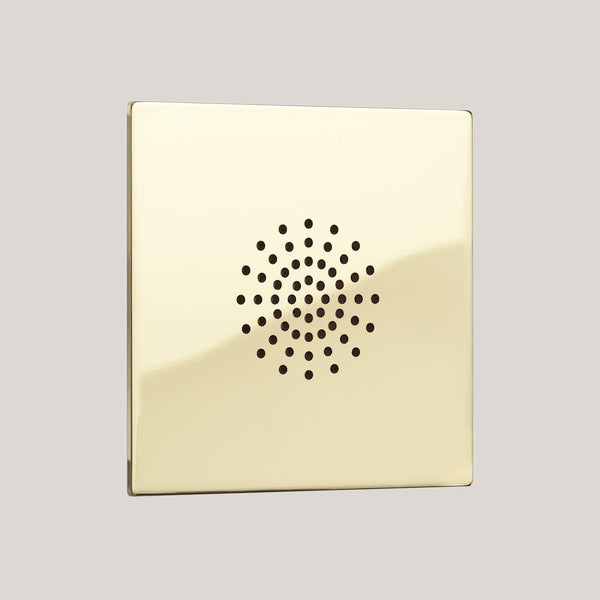 Renaissance/Polished Brass Unlacquered