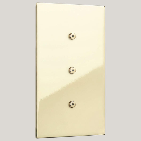 Led/3G-Vertical Led/Renaissance 3G-Vertical Led/Polished Brass Unlacquered