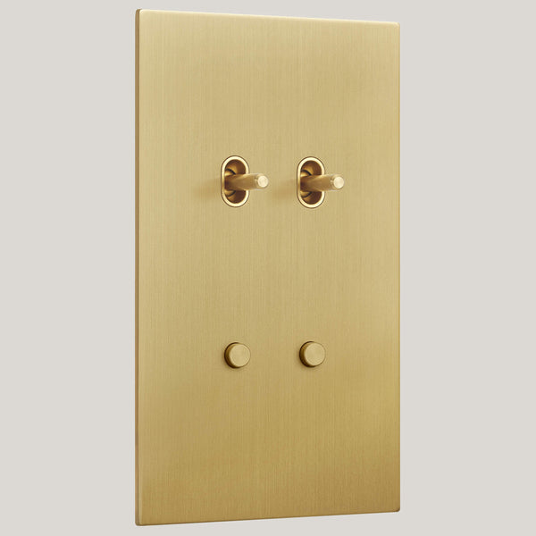 Vertical/4G-Vertical/Renaissance 4G-Vertical-Toggle-Round/Satin Brass